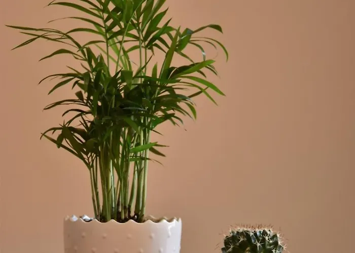 Appartamento Boutique A 3 Minutos De La Catedral