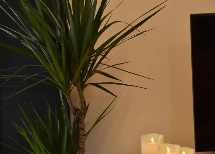 Boutique A 3 Minutos De La Catedral Oviédo